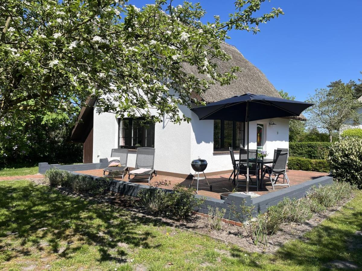 Ferienhaus Ilva In Born Villa Ngoại thất bức ảnh